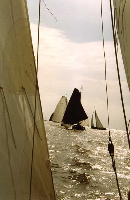 Tussen Fok en Kluiver